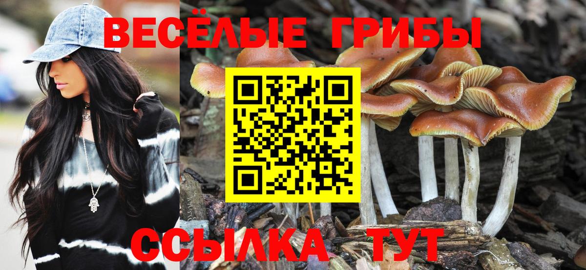 Галлюциногенные грибы MAGIC MUSHROOMS  Усинск 