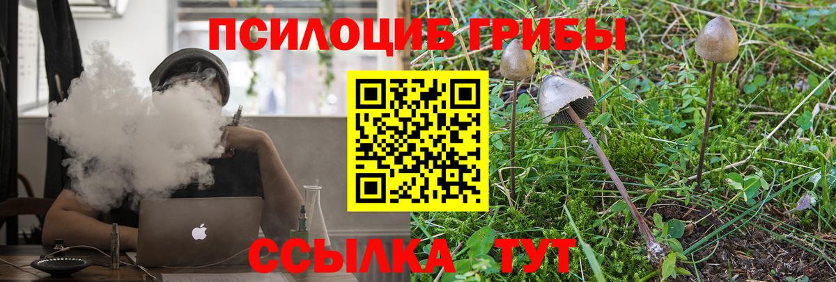 Галлюциногенные грибы мухоморы Усинск