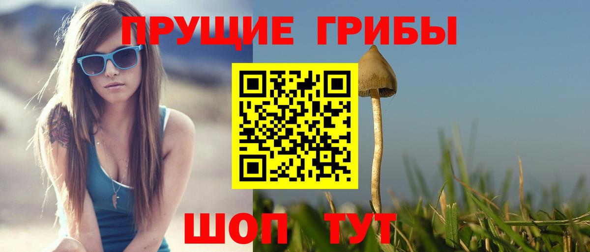 закладка  Вход с VPN  Усинск  Псилоцибиновые грибы мицелий  Псилоцибиновые грибы GOLDEN TEACHER 